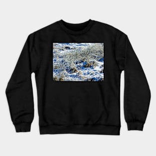 Snow Crust Crewneck Sweatshirt